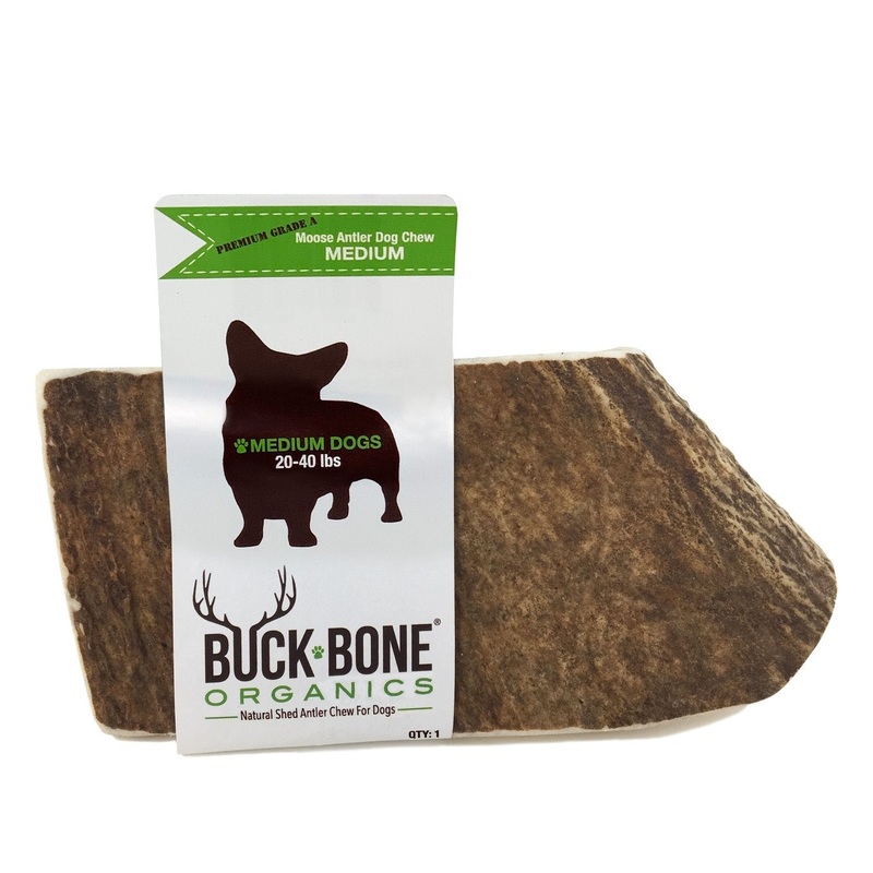 Buck Bone Moose Antler Dog Chew - Medium or Large