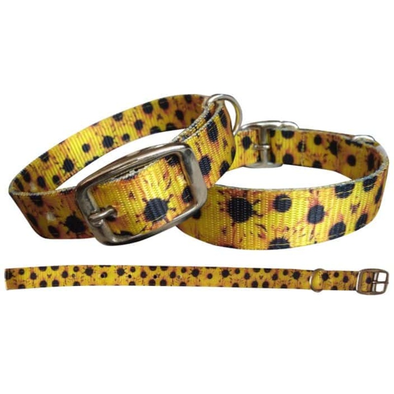 Sunflower designed nylon dog collar.