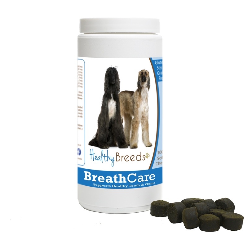 Afghan Hound Breath Care Soft Chews for Dogs 100 Count