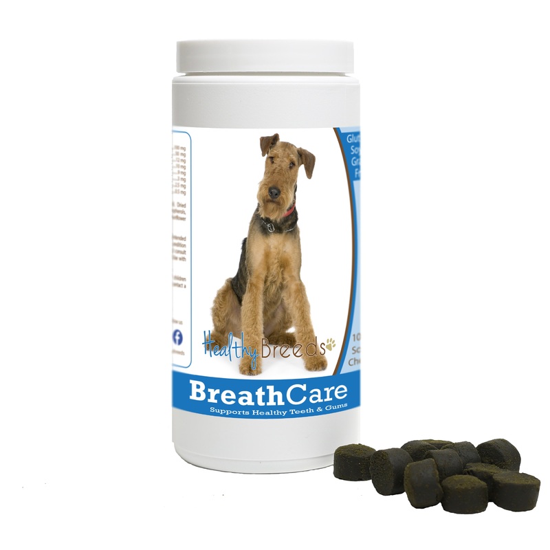 Airedale Terrier Breath Care Soft Chews for Dogs 100 Count
