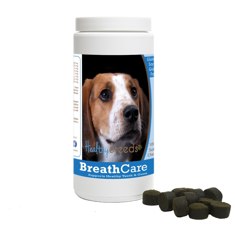 American English Coonhound Breath Care Soft Chews for Dogs 100 Count