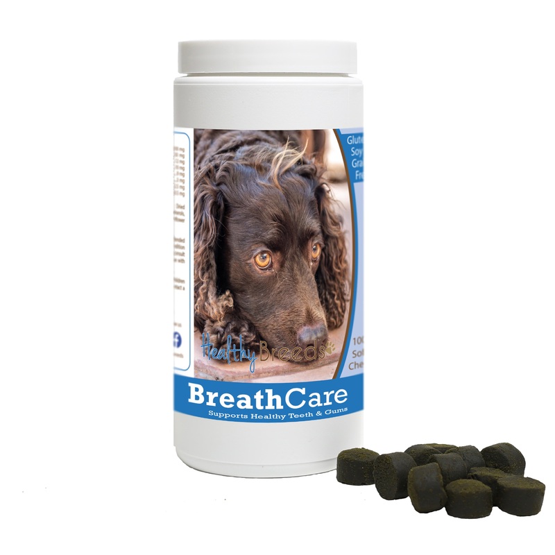 American Water Spaniel Breath Care Soft Chews for Dogs 100 Count
