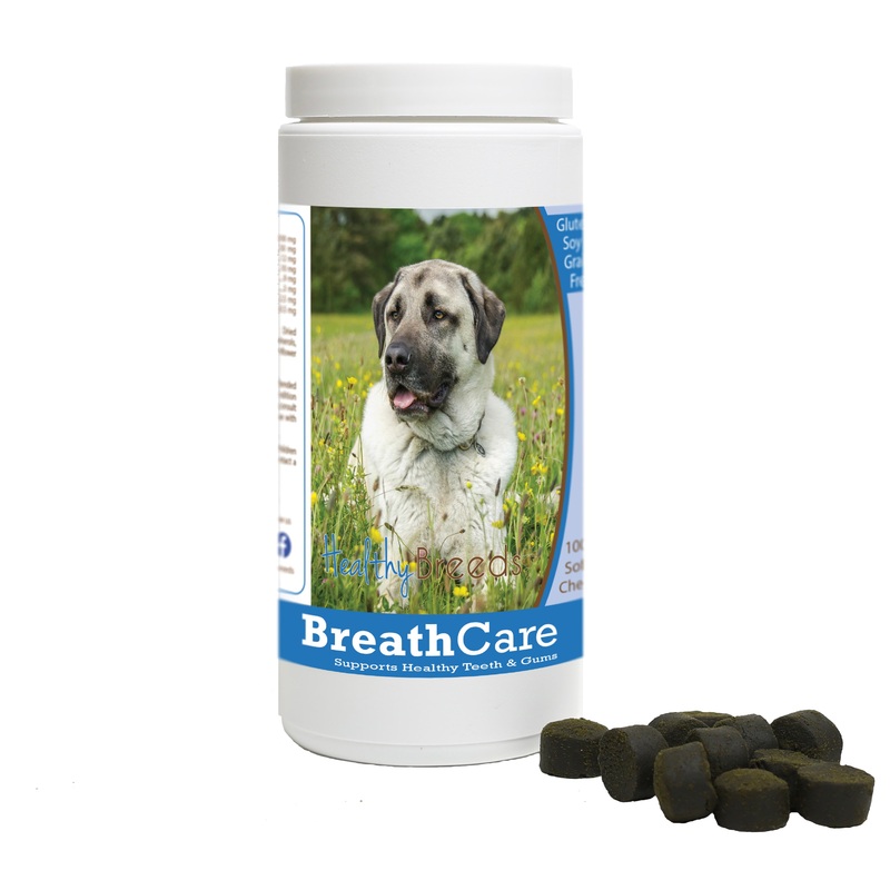 Anatolian Shepherd Dog Breath Care Soft Chews for Dogs 100 Count