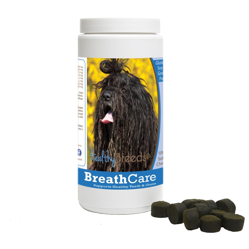 Bergamasco Breath Care Soft Chews for Dogs 100 Count
