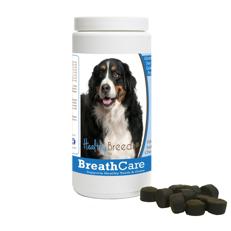 Bernese Mountain Dog Breath Care Soft Chews for Dogs 60 Count