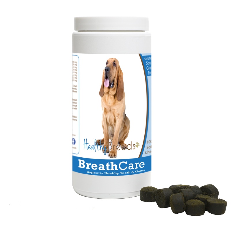 Bloodhound Breath Care Soft Chews for Dogs 60 Count