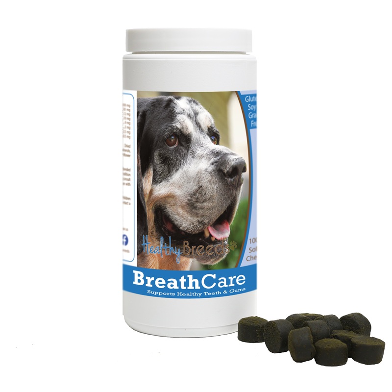 Bluetick Coonhound Breath Care Soft Chews for Dogs 100 Count