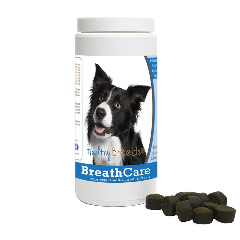 Border Collie Breath Care Soft Chews for Dogs 100 Count