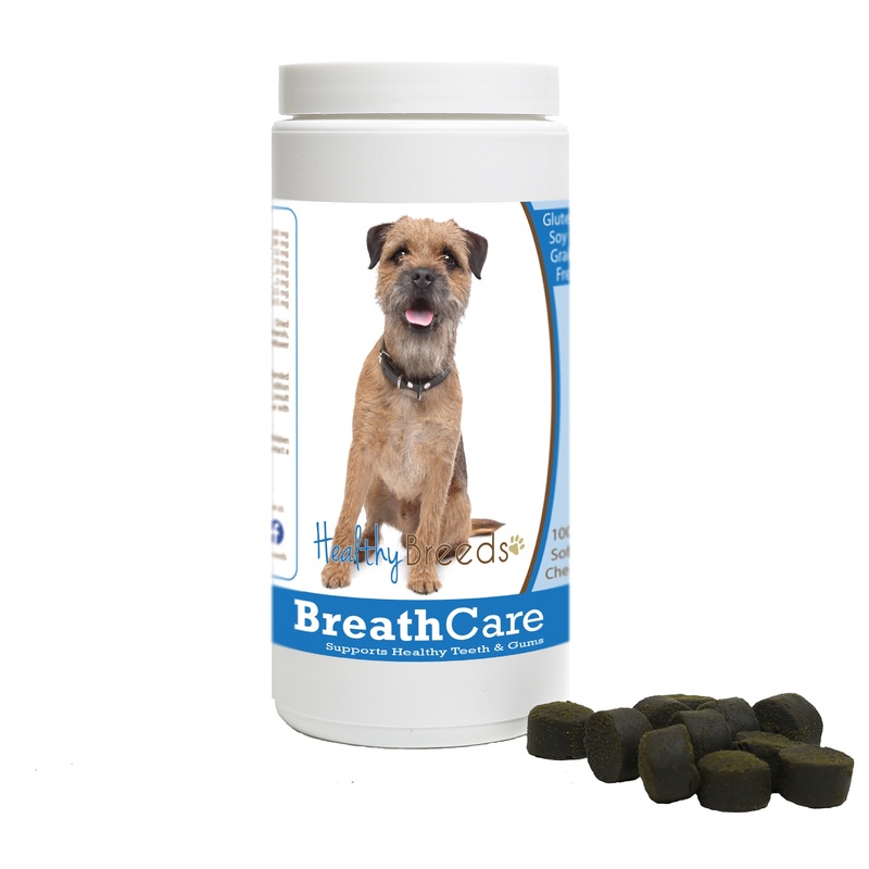 Border Terrier Breath Care Soft Chews for Dogs 100 Count