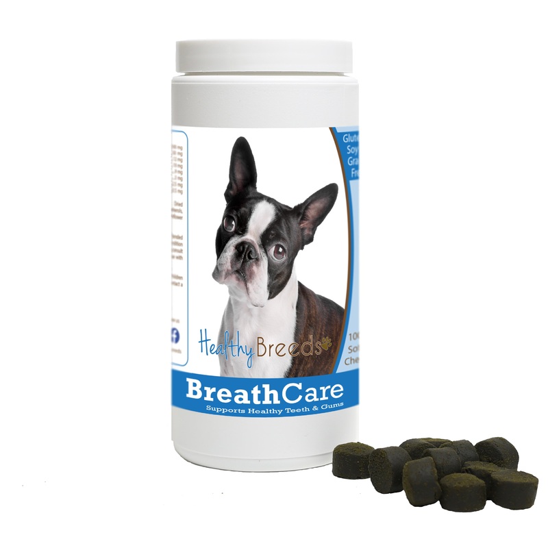 Boston Terrier Breath Care Soft Chews for Dogs 60 Count