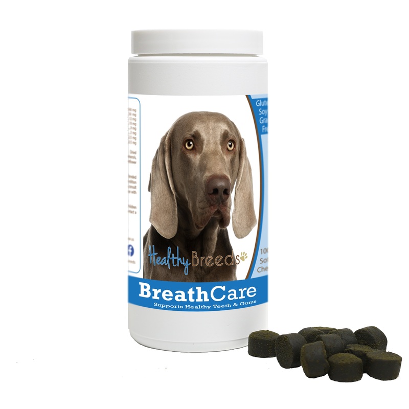 Weimaraner Breath Care Soft Chews for Dogs 60 Count