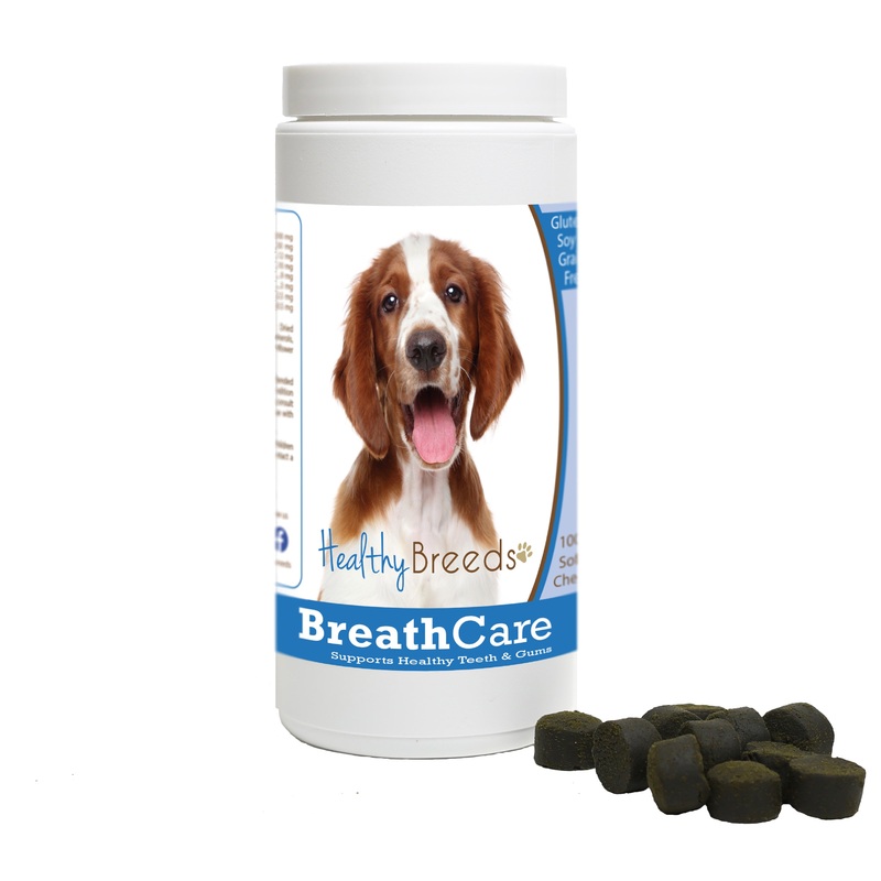 Welsh Springer Spaniel Breath Care Soft Chews for Dogs 100 Count