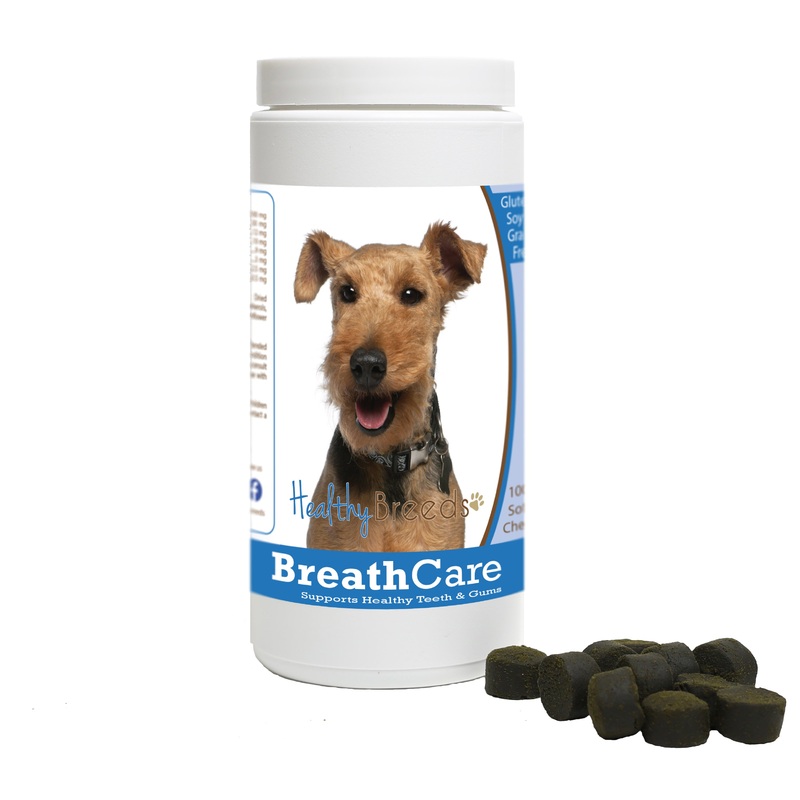 Welsh Terrier Breath Care Soft Chews for Dogs 100 Count