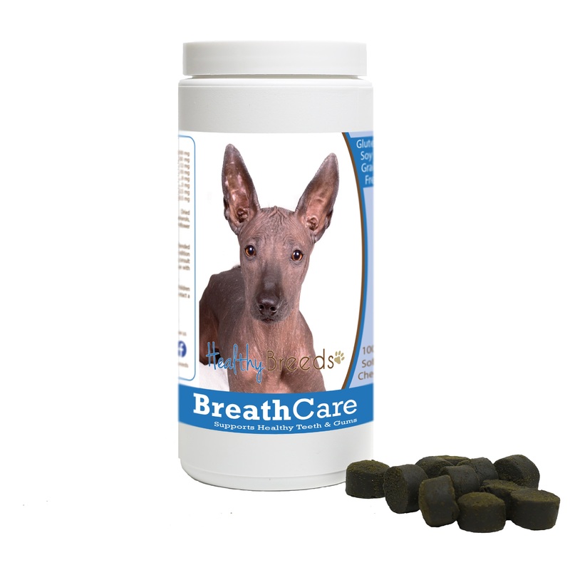 Xoloitzcuintli Breath Care Soft Chews for Dogs 100 Count