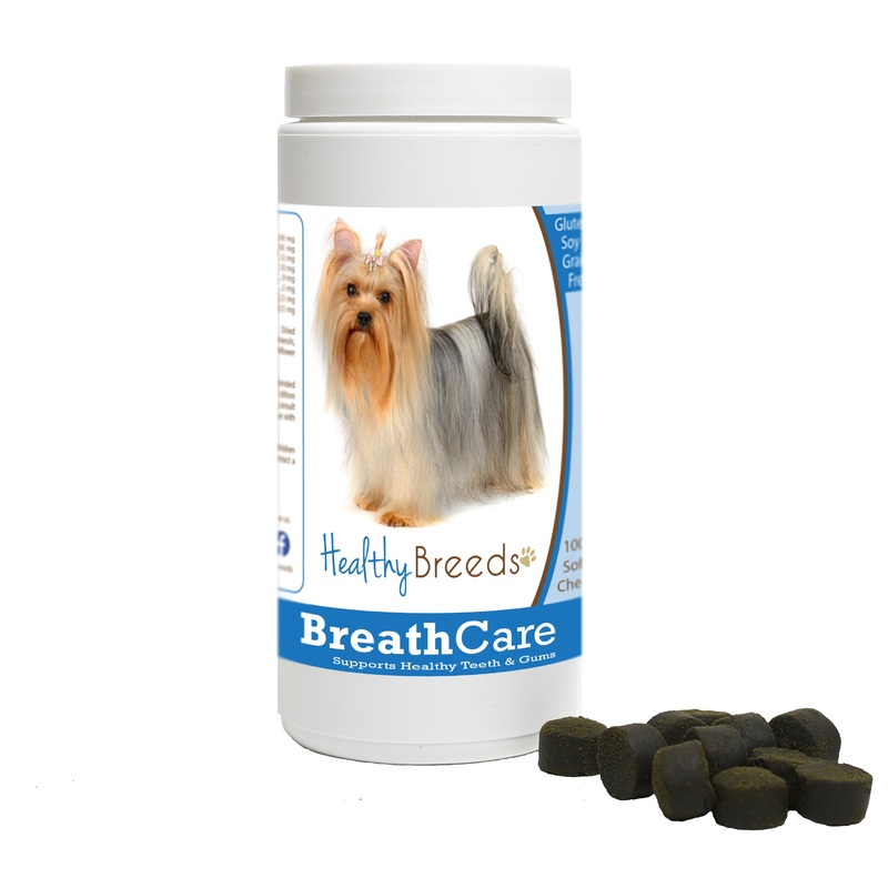 Yorkshire Terrier Breath Care Soft Chews for Dogs 60 Count
