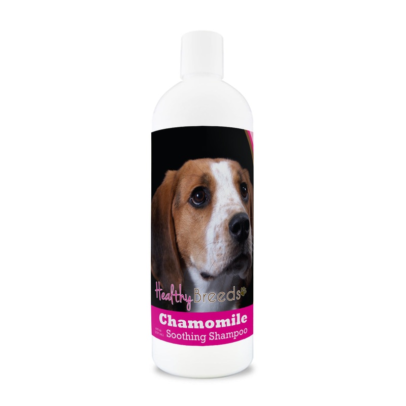 American English Coonhound Chamomile Soothing Dog Shampoo 8 oz