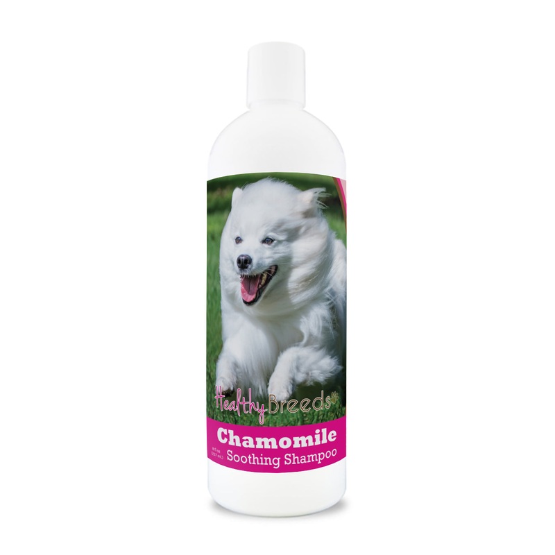 American Eskimo Dog Chamomile Soothing Dog Shampoo 8 oz