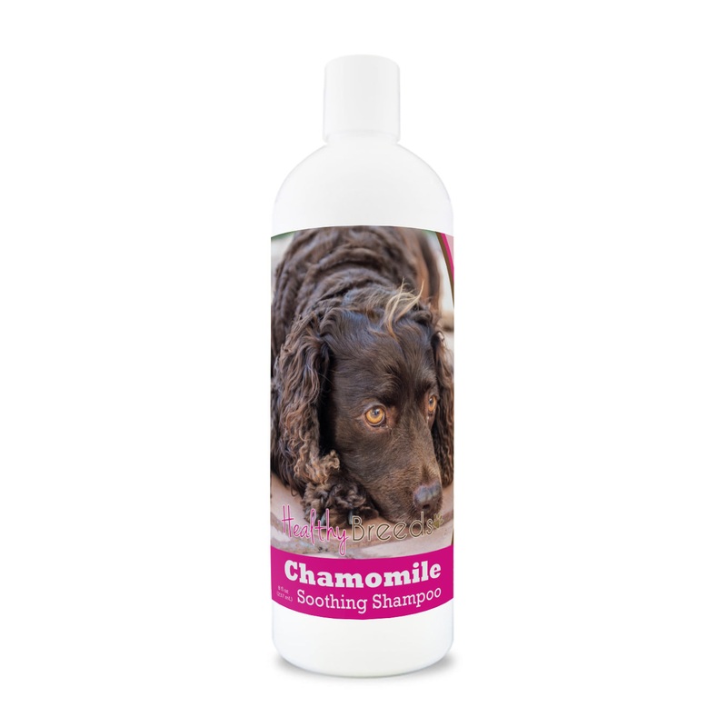 American Water Spaniel Chamomile Soothing Dog Shampoo 8 oz