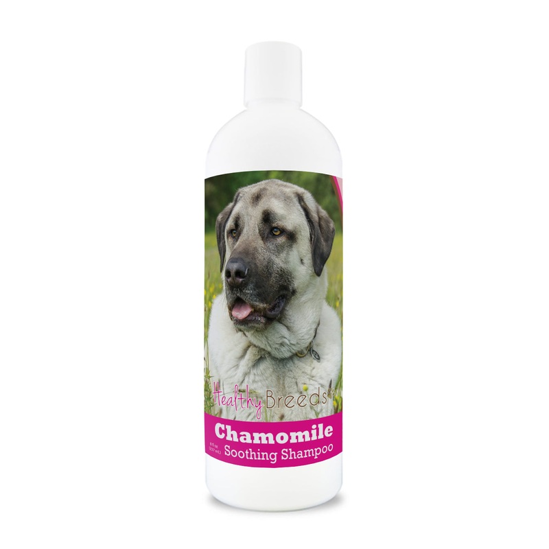 Anatolian Shepherd Dog Chamomile Soothing Dog Shampoo 8 oz