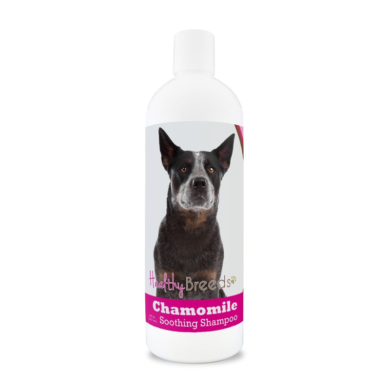 Australian Cattle Dog Chamomile Soothing Dog Shampoo 8 oz