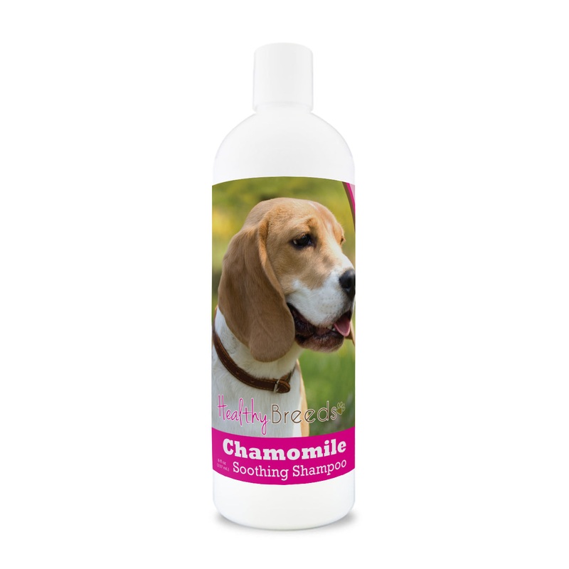 Beagle Chamomile Soothing Dog Shampoo 8 oz
