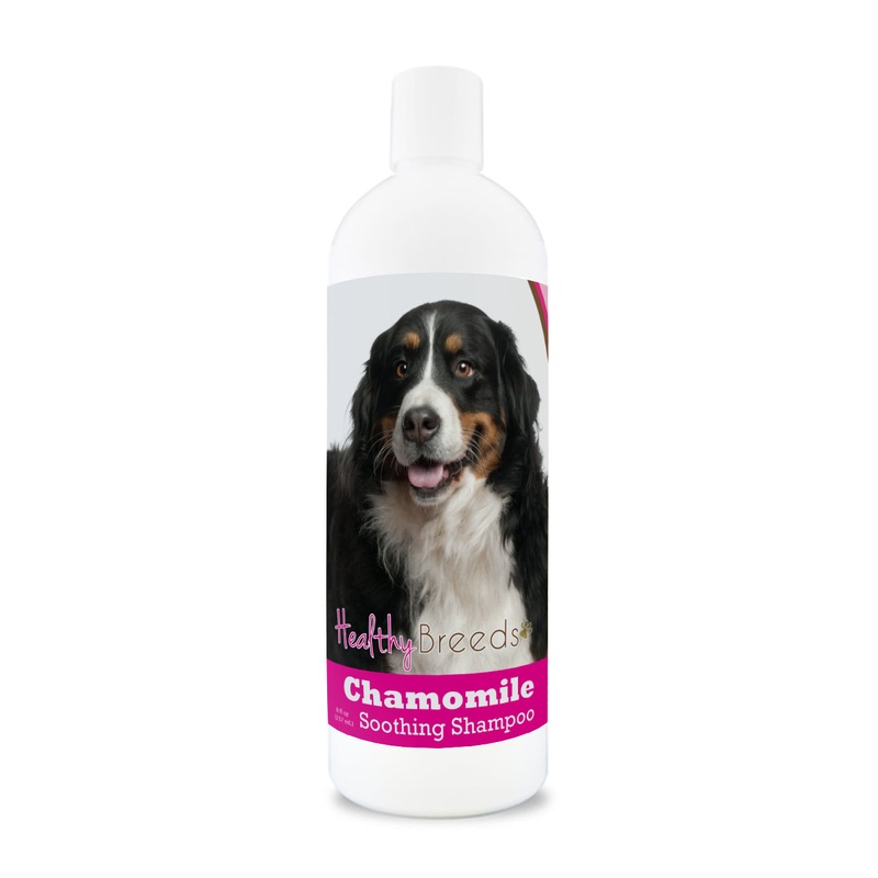 Bernese Mountain Dog Chamomile Soothing Dog Shampoo 8 oz