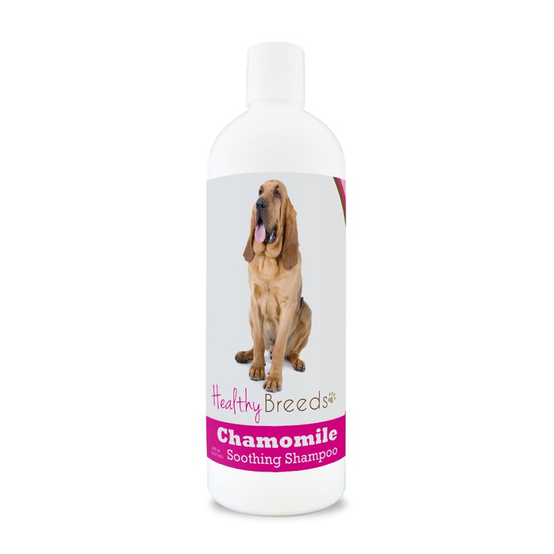 Bloodhound Chamomile Soothing Dog Shampoo 8 oz