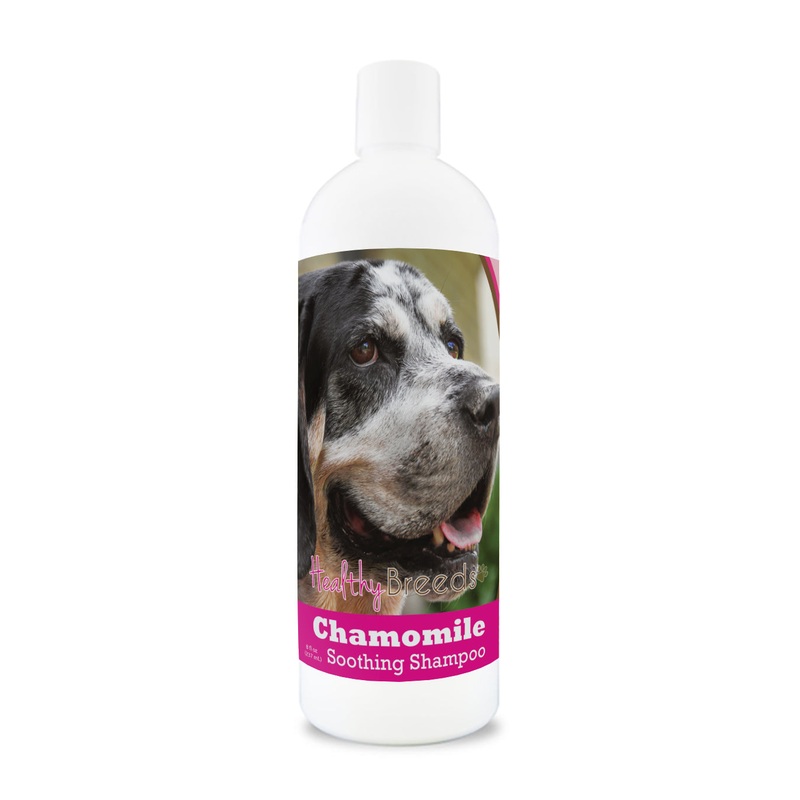 Bluetick Coonhound Chamomile Soothing Dog Shampoo 8 oz