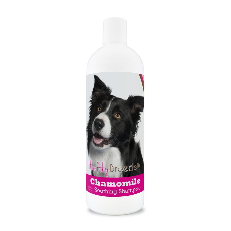 Border Collie Chamomile Soothing Dog Shampoo 8 oz
