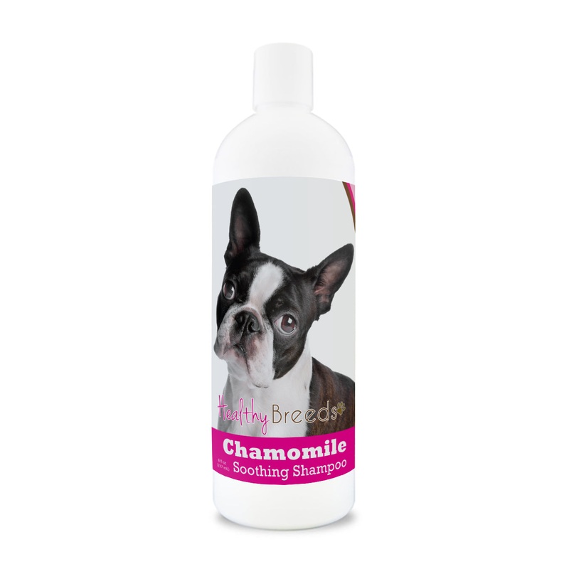 Boston Terrier Chamomile Soothing Dog Shampoo 8 oz