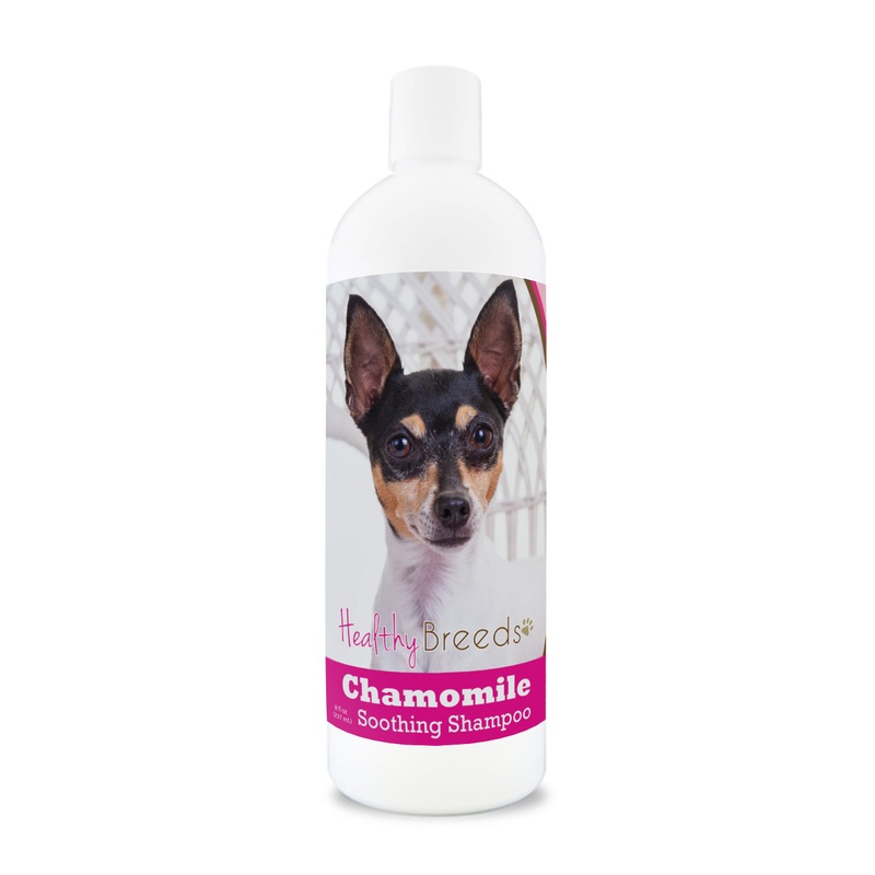 Toy Fox Terrier Chamomile Soothing Dog Shampoo 8 oz
