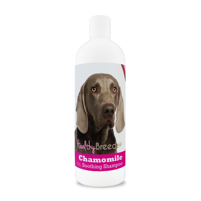 Weimaraner Chamomile Soothing Dog Shampoo 8 oz