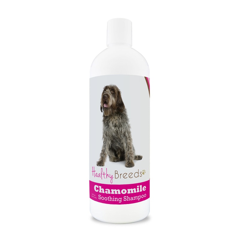 Wirehaired Pointing Griffon Chamomile Soothing Dog Shampoo 8 oz