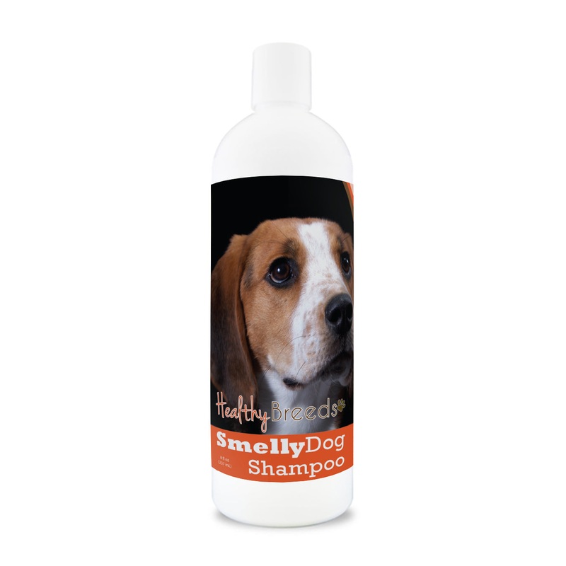 American English Coonhound Smelly Dog Baking Soda Shampoo 8 oz