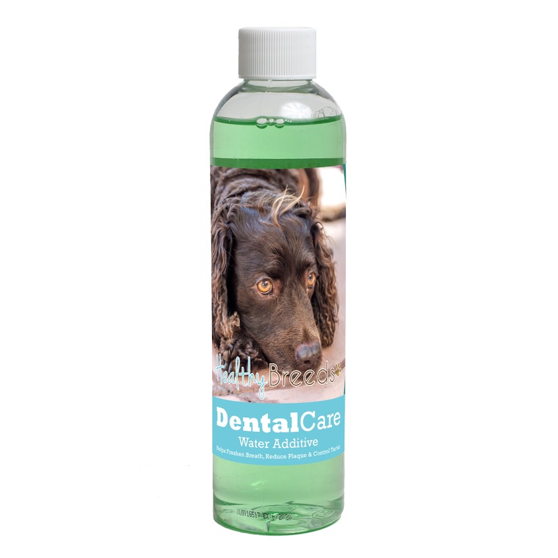 American Water Spaniel Dental Rinse for Dogs 8 oz