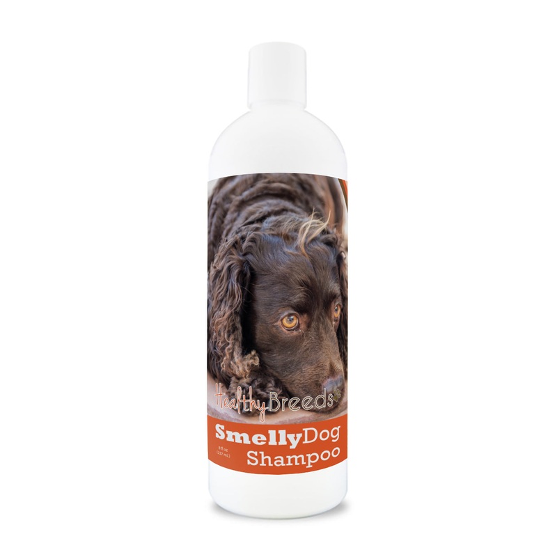 American Water Spaniel Smelly Dog Baking Soda Shampoo 8 oz