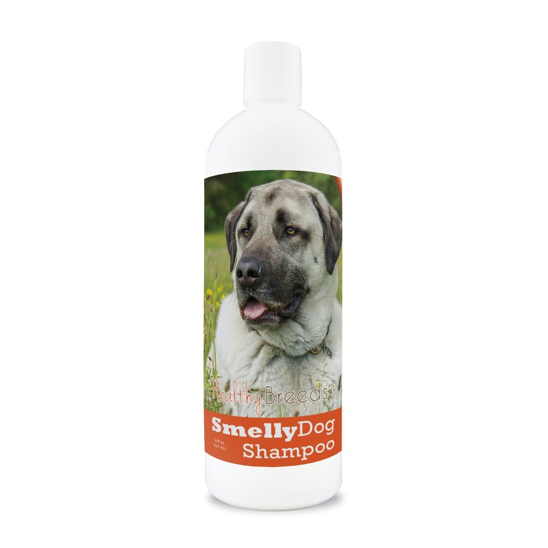 Anatolian Shepherd Dog Smelly Dog Baking Soda Shampoo 8 oz