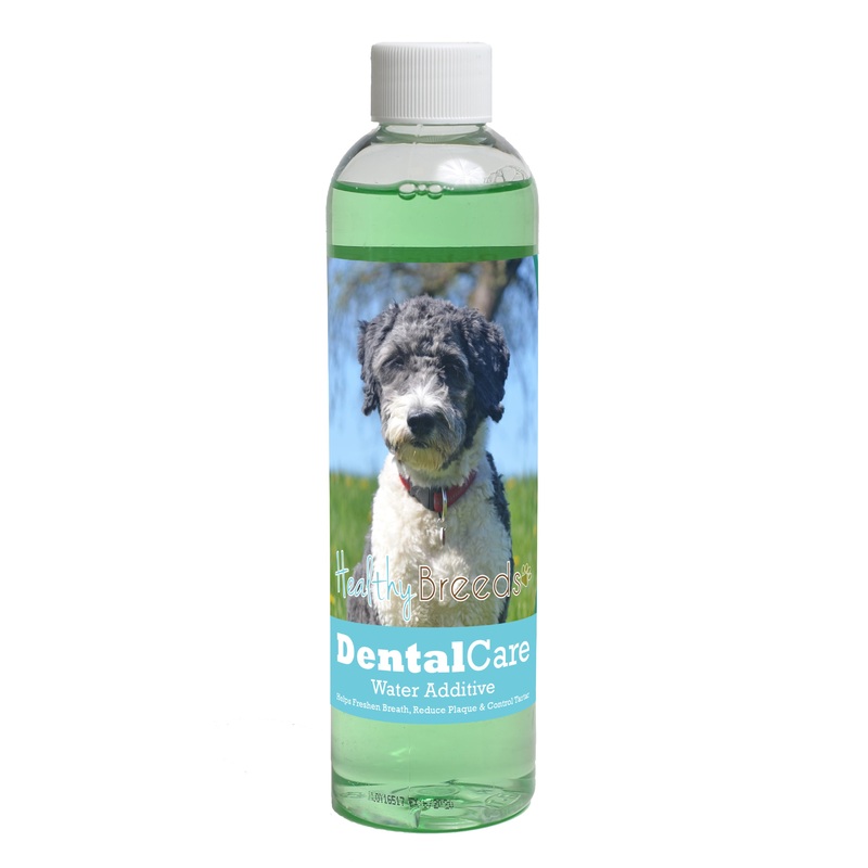Aussiedoodle Dental Rinse for Dogs 8 oz