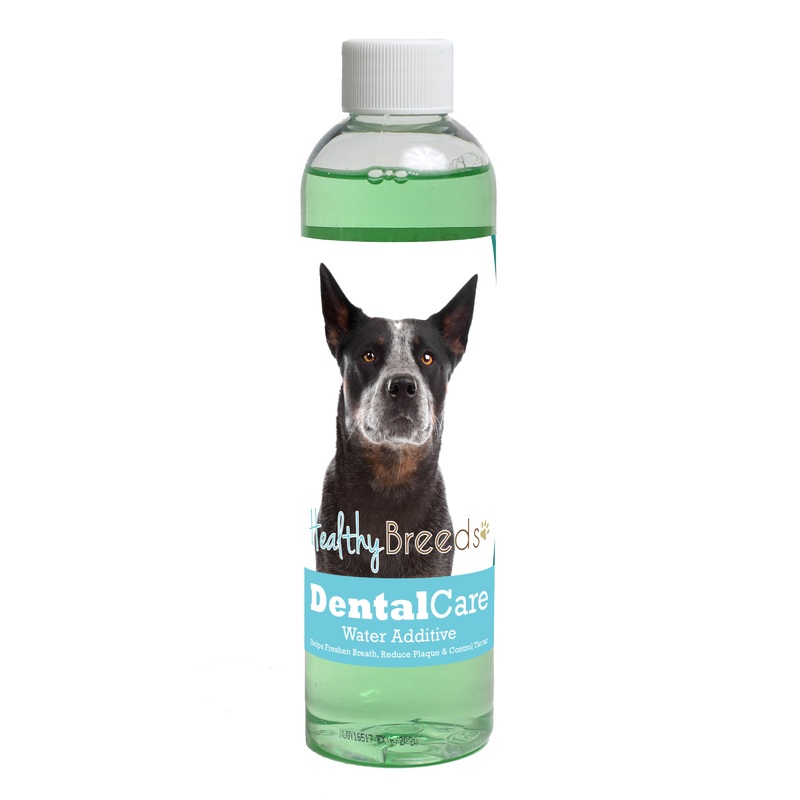 Australian Cattle Dog Dental Rinse for Dogs 8 oz