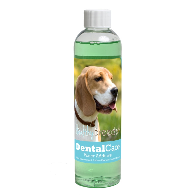 Beagle Dental Rinse for Dogs 8 oz