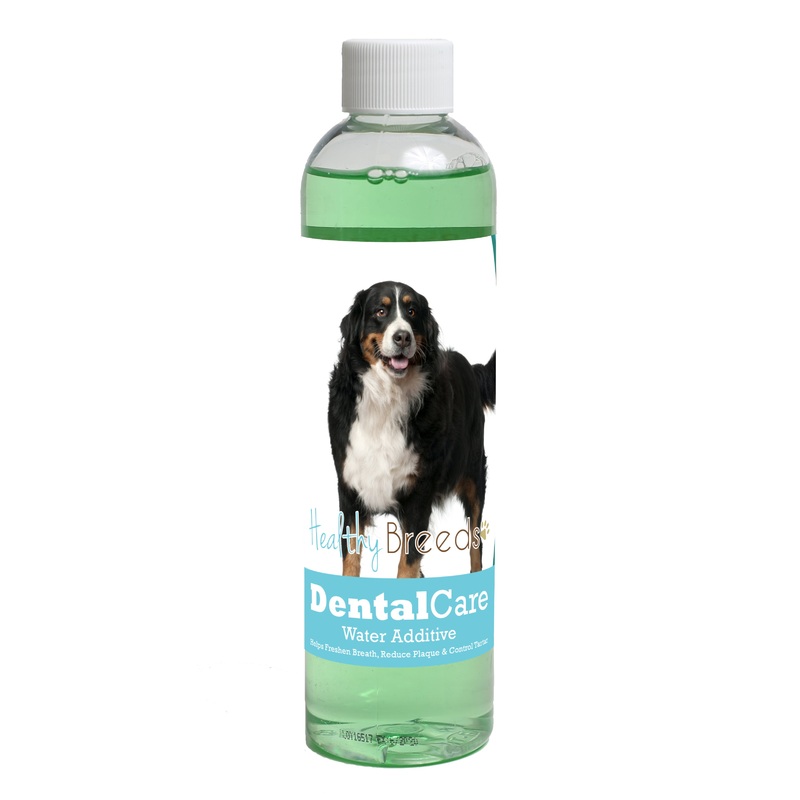 Bernese Mountain Dog Dental Rinse for Dogs 8 oz
