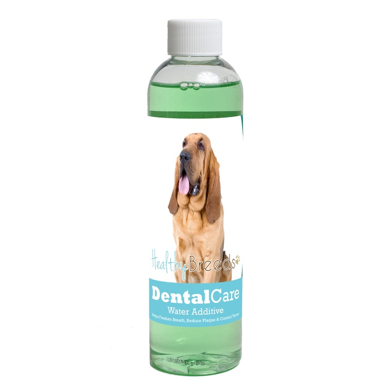 Bloodhound Dental Rinse for Dogs 8 oz