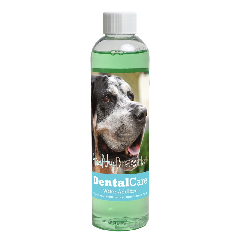 Bluetick Coonhound Dental Rinse for Dogs 8 oz