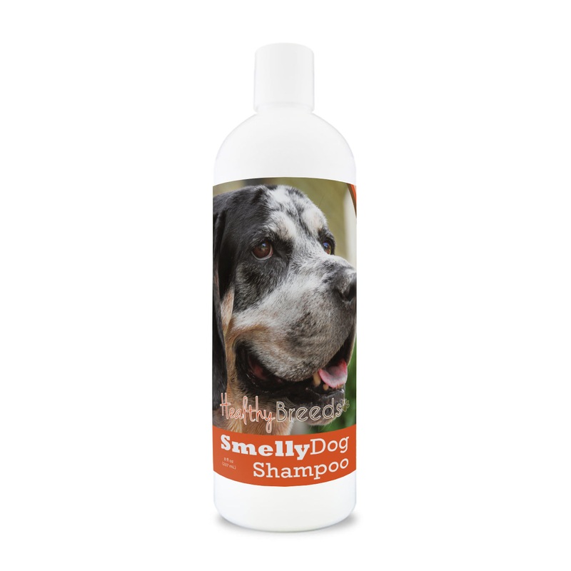 Bluetick Coonhound Smelly Dog Baking Soda Shampoo 8 oz