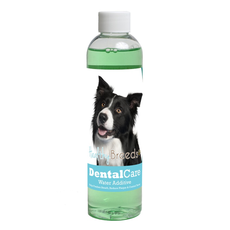 Border Collie Dental Rinse for Dogs 8 oz