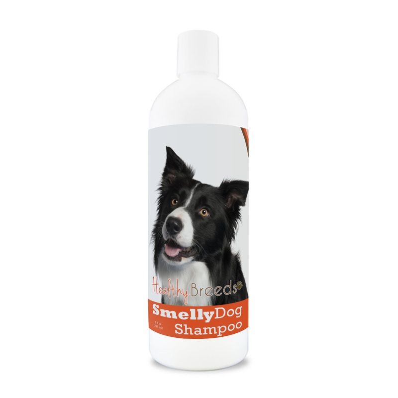 Border Collie Smelly Dog Baking Soda Shampoo 8 oz
