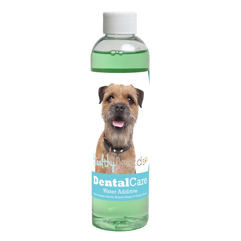 Border Terrier Dental Rinse for Dogs 8 oz