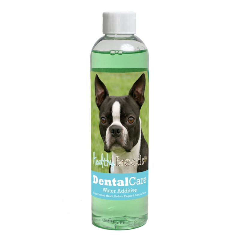 Boston Terrier Dental Rinse for Dogs 8 oz
