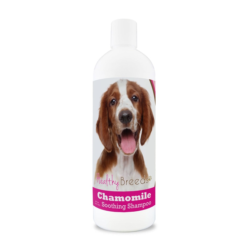 Welsh Springer Spaniel Chamomile Soothing Dog Shampoo 8 oz