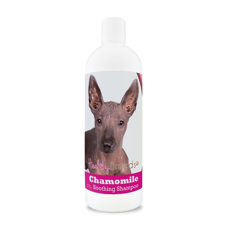 Xoloitzcuintli Chamomile Soothing Dog Shampoo 8 oz